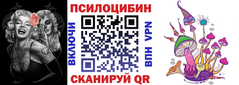 Купить где Грязи Псилоцибиновые грибы мухоморы